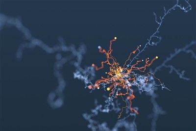 Ai có thể nhận được lợi ích từ Máy kích thích cơ bắp SYREBO TENS & EMS?